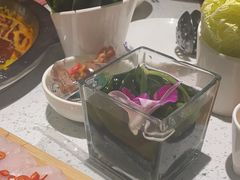 -大龙燚火锅