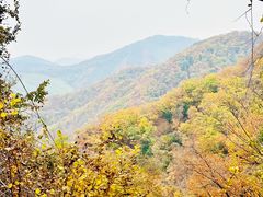 -天女山森林公园
