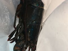 -盒马鲜生(莱蒙都会店)