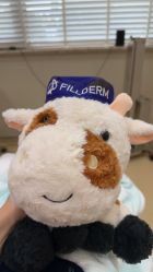 -上海首尔丽格医疗美容医院