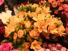 -双季花艺园艺市场(浦东店)