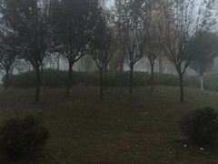 -两河城市森林公园