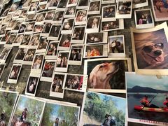 -浔岚云舍mist静谧观景美宿(丽江古城店)