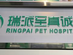 -瑞派动物医院·猫专科·至诚(江南中分院)