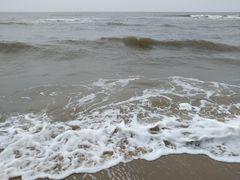 -北戴河圣蓝海洋公园