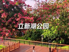 -立新湖公园