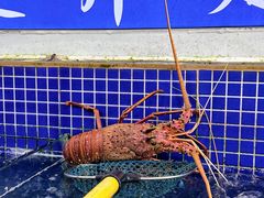 -明记海鲜大排档(巽寮湾店)
