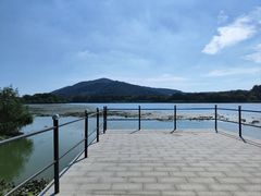 -长广溪湿地公园