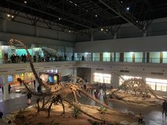 -自贡恐龙博物馆