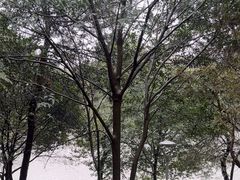 -南京市无想山景区
