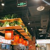 这个月来吃猫爪烤肉的第N次