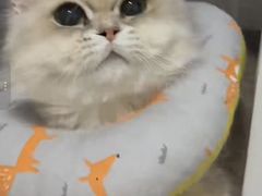 -聚春园·福龙泉澡堂(温泉店)