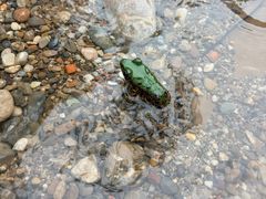 -青城两河漂流