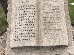 -八大关景区