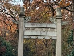 -灵谷景区