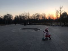 -望湖公园