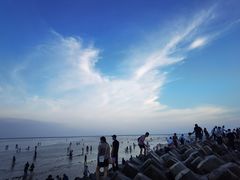 -南汇嘴观海公园