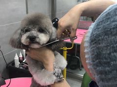 -宠福鑫康馨动物医院·骨科·眼科