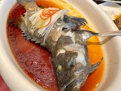 清蒸老虎斑-泛太平洋大酒店·海天楼中餐厅·粤菜