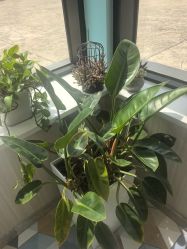 -爱儿美儿童摄影(奥森公园店)