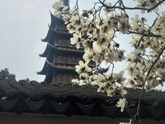 -常熟方塔园