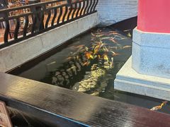 -龙悦湾酒家·八阵鱼生·渔人码头店