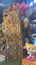 -卡通尼·Safari非洲探索乐园·生日会(金桥国际商业广场店)