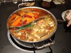 -季季山·云南野生菌火锅(上海首店)