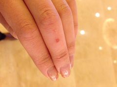 北辰洲际酒店-北京北辰洲际酒店