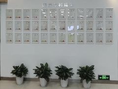 -武汉大学附属爱尔眼科医院(湖北总院)