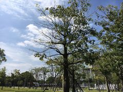 -广州市城市规划展览中心
