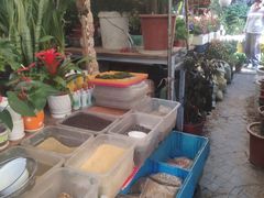 -曲阳花鸟市场(曲阳路店)
