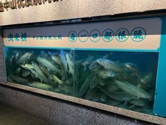 -淘米捞·米汤脆鲩鱼火锅(福田皇岗店)
