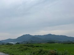 -黄牛肉馆·皖南土菜
