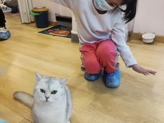 -猫咪派对(江南西店)