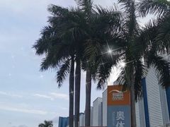 -奥林匹克体育中心游泳馆