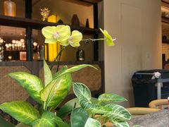 -志明眷村·台式融合菜·宵夜