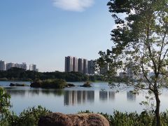 -飞来湖湿地公园