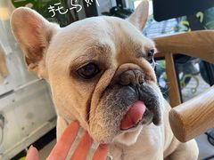 -平行世界·猫咖(首经贸店)
