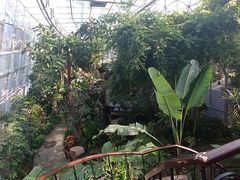 -北京植物园-展览温室