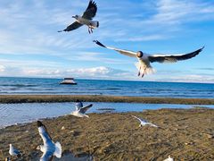 -青海湖二郎剑景区