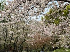 -范蠡湖公园
