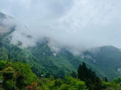 -鹿院坪生态旅游景区