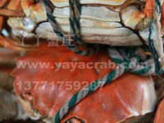 -丫丫蟹庄·苏式园林农家乐·阳澄湖大闸蟹(阳澄湖莲花岛店)