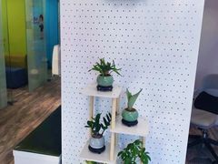 -新世界教育iVEE·英语日语西语(金桥校区)