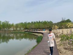 -东郊湿地公园