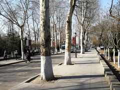 -山东大学(洪家楼校区)