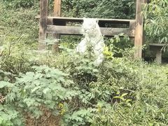 -石家庄市动物园