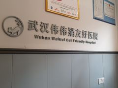 -伟伟宠物医院·瑞派猫友好医院·猫科(光谷店)