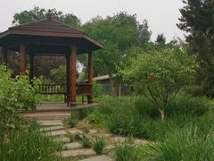 -莲花池公园